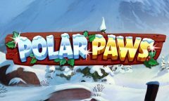 Slots - Polar-Paws-slot-review