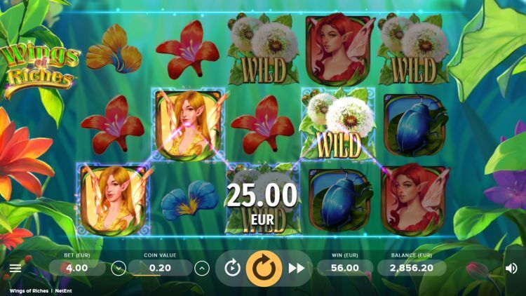 Wings of riches gokkast netent