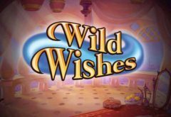 Slots - wild-wishes-playtech