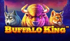 Slots - Buffalo king slot pragmatic play