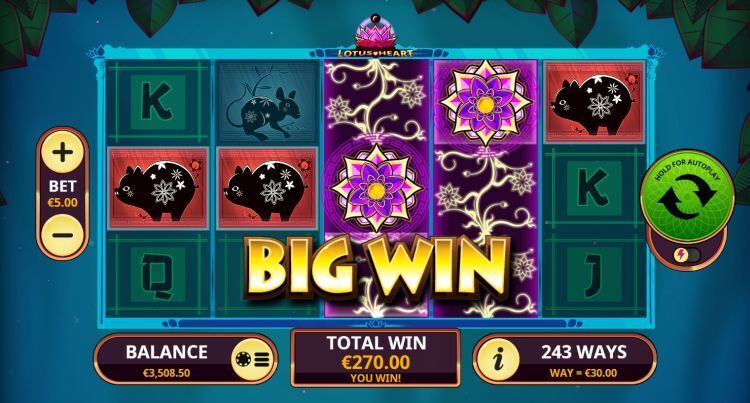 Lotus Heart slot playtech big win