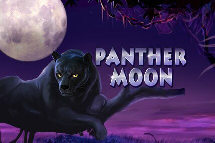 Panther-Moon playtech slot