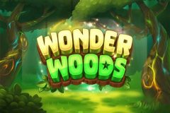 Slots - Wonder-Woods slot-review logo