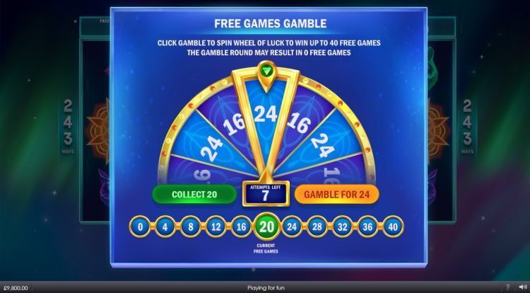 Midnight Wilds bonus gamble