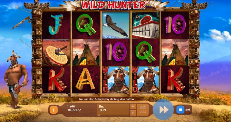 Playson Wild Hunter gokkast review