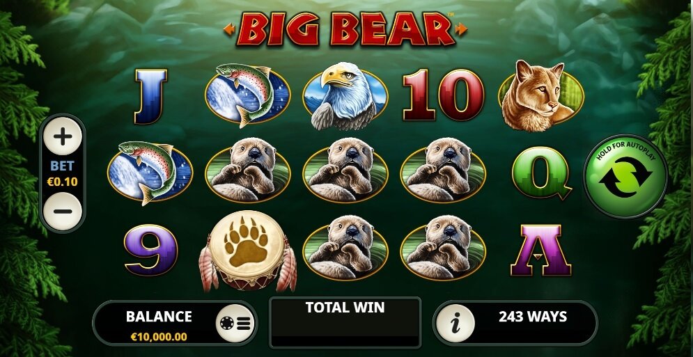 Big Bear Gokkast Playtech