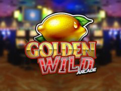 Slots - golden wild arcade logo