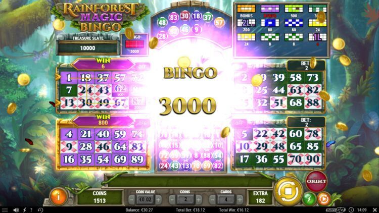 Rainforest magic bingo play n go