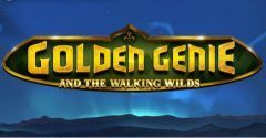 Slots - golden-genie-slot review