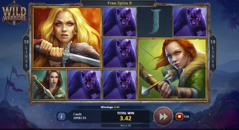 Playson - Wild Warriors gokkast