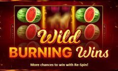 Slots - Wild Burning Wins gokkast