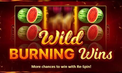 Wild Burning Wins gokkast