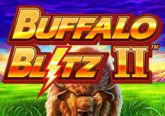 Slots - buffalo blitz 2