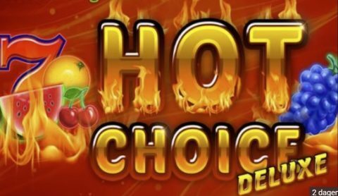 hot choice deluxe logo