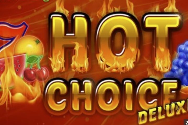 hot choice deluxe logo