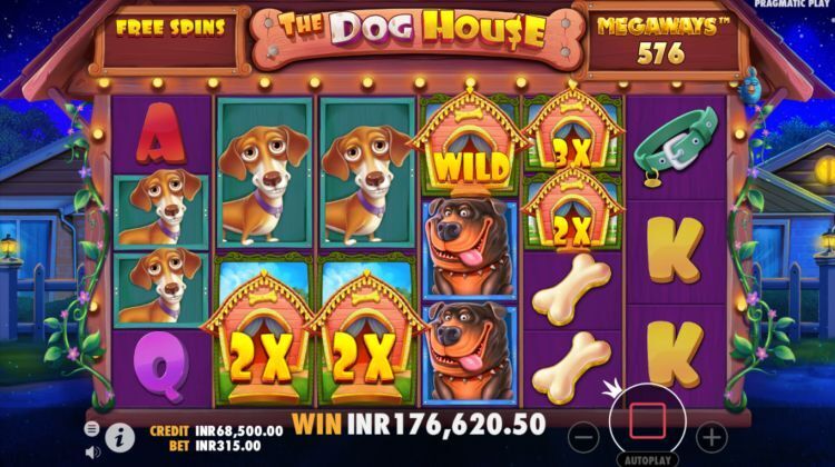The Dog House Megaways slot gameplay