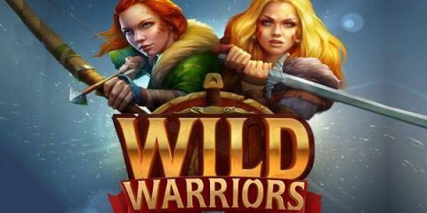 wild warriors logo