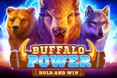 Slots - buffalo power hold and win