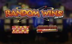 Slots - Random Wins Arcade logo