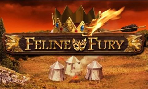 feline fury slot review logo