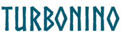 TurboNino review