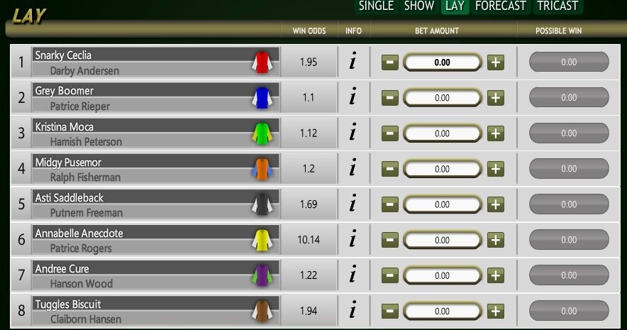 Virtual Racebook 3d lay bet