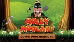 Slots - Moley Moolah slot review