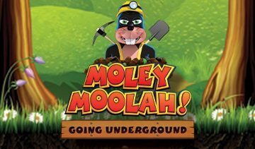 Moley Moolah slot review