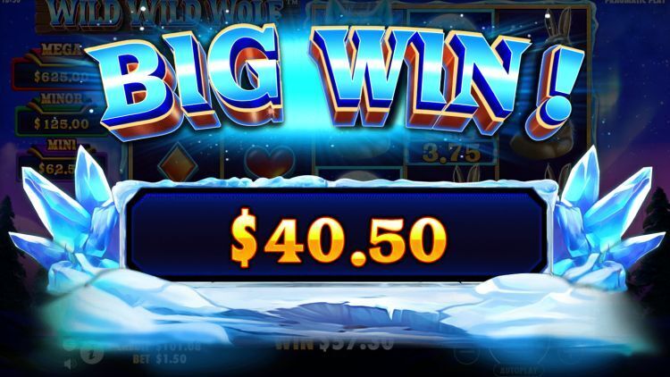 Wild Wild Wolf online gokkast big win