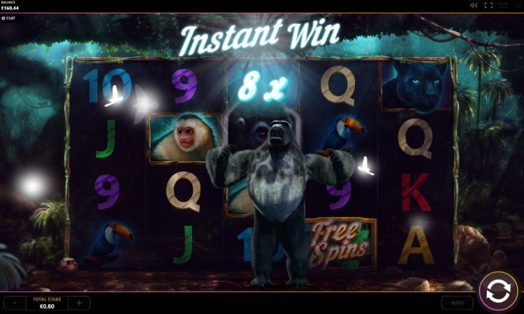 Dark Jungle online slot gameplay