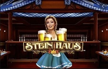 Novomatic Steinhaus