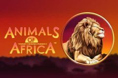 Slots - Animals of Africa slot logo