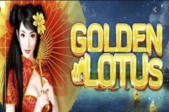 Slots - golden lotus gokkast red tiger