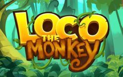 Slots - loco-the-monkey slot review