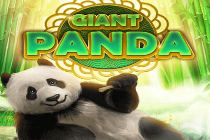 Giant Panda