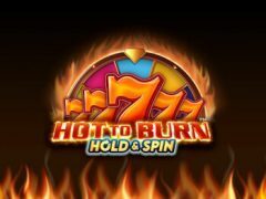 Slots - Hot to Burn Hold and Spin logo