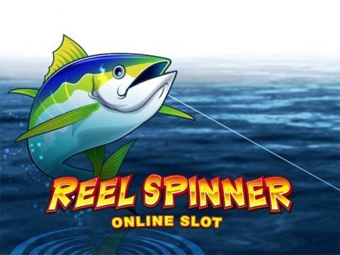 Reel Spinner MG