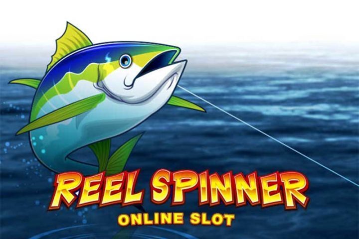 Reel Spinner MG
