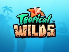 Slots - TropicalWilds_slot review