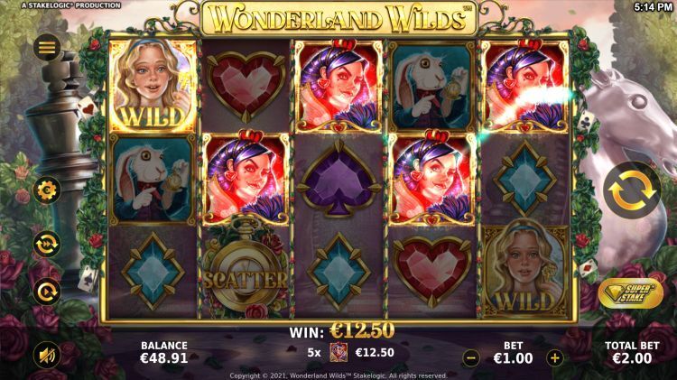 Wonderland Wilds slot stakelogic win