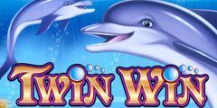 Slots - twin win high 5 games