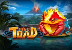 Slots - Fire Toad review play n go logo
