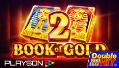 Slots - Book of Gold 2