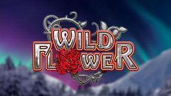 Wild Flower slot Big Time Gaming logo