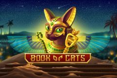 Slots - Book of Cats logo