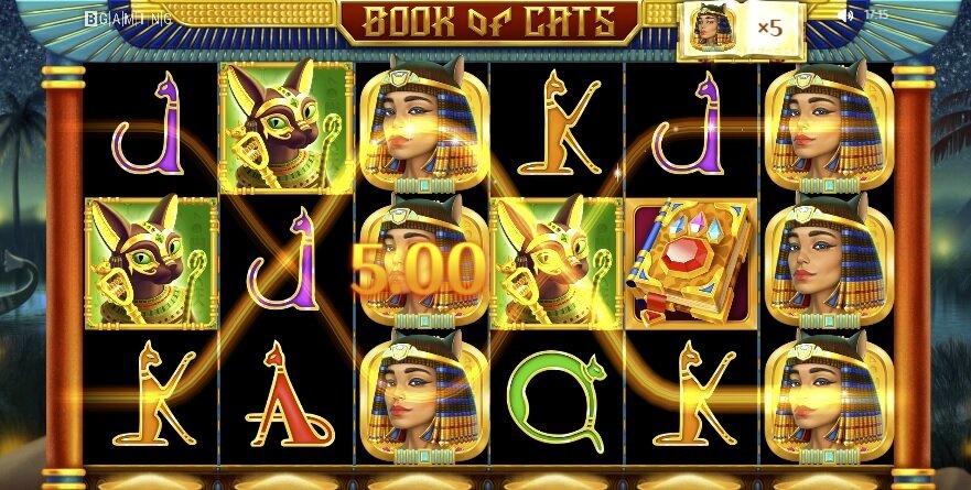 Book of Cats slot