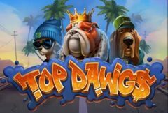 Slots - Top Dawg$ slot review relax gaming logo