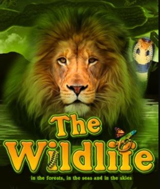 Logo The Wild Life