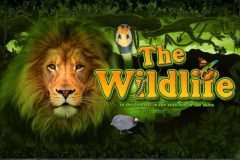 Slots - The Wild Life Online Slot Review