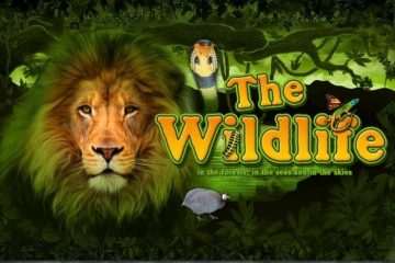 The Wild Life Online Slot Review